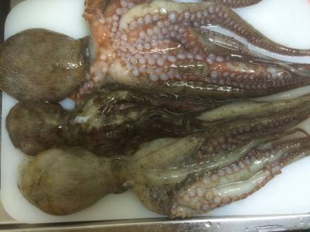 仕事帰りにタコってきました