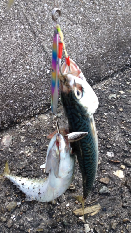 いや、お前達ぢゃないんだけど⁉︎