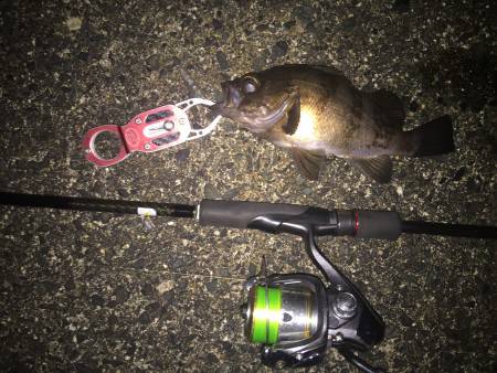 久しぶりの短時間ライト