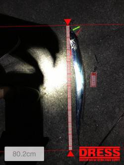 サバ不発で太刀魚