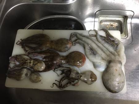 《有》こすりや