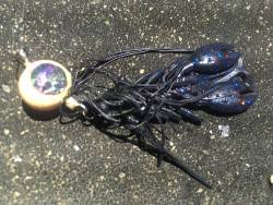 チニングデビューの巻。