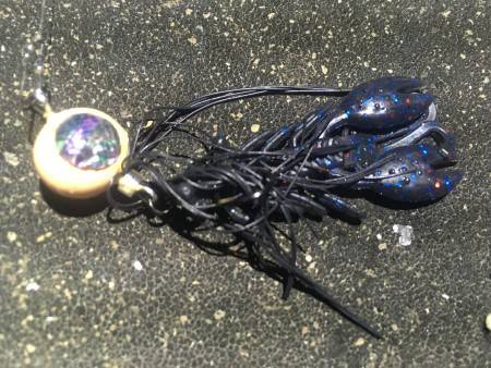 チニングデビューの巻。