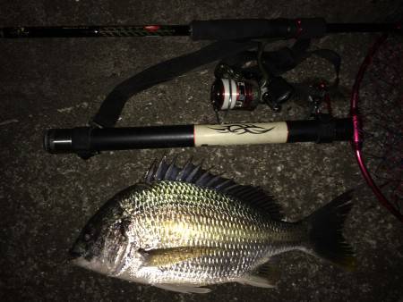 キビレちゃん連発！