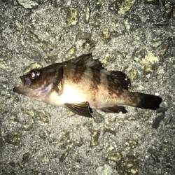 なかなかの外道です。