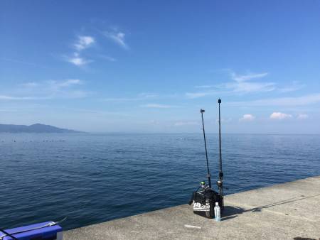 淡路島 炬口 タチウオ釣行