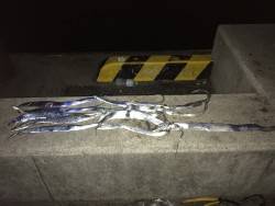 兵突20匹オーバー