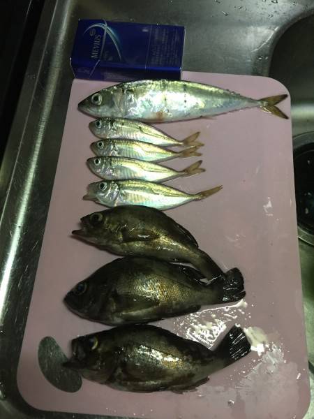 風が吹いて投げにくかった