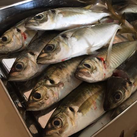 アジーっ！やっと見つけたぞ〜‼︎