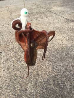 風がつよかった