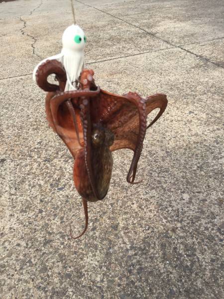 風がつよかった