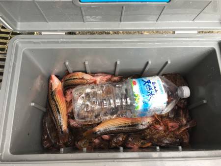 ロックロックロック！！