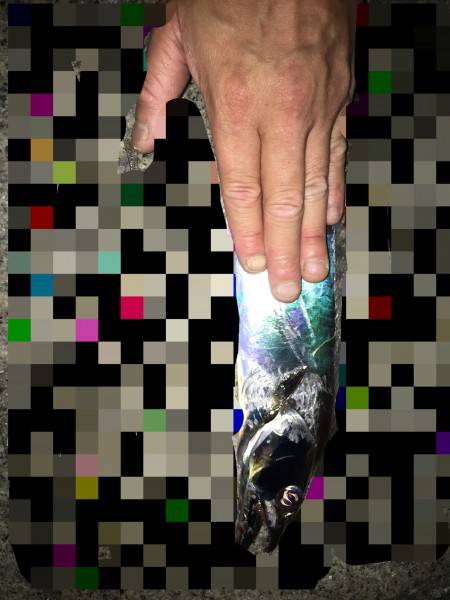 サイズアップしてます！