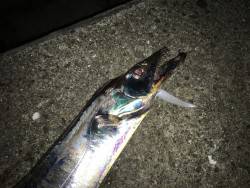 ドラゴンキター(((o(*ﾟ▽ﾟ*)o)))