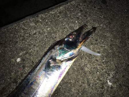 ドラゴンキター(((o(*ﾟ▽ﾟ*)o))…