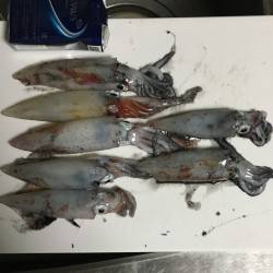 アメニモマケズ