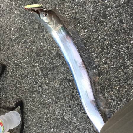 ジギングとワインドで