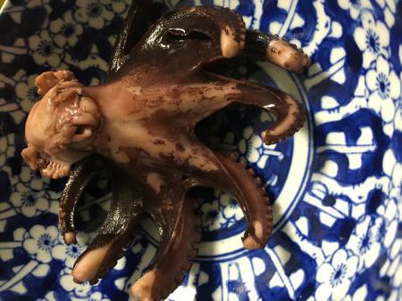 まっぴるまのオクトパッシング