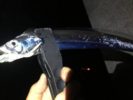 先週よりサイズダウン