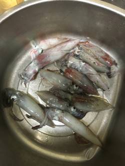 ヒイカみたいな