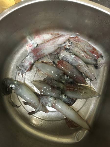 ヒイカみたいな