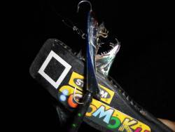 夏太刀魚ゲット〜*\\(^o^)/*