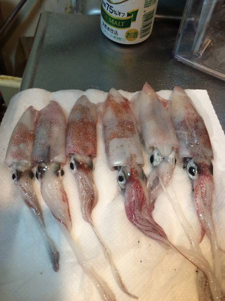 アテにはなるか、、、