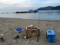 夕まずめにチョイ投げ