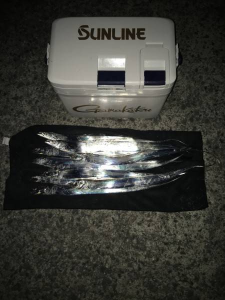 夕方サーベリング