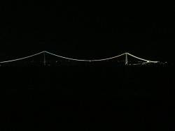 ケンサキ調査2回目