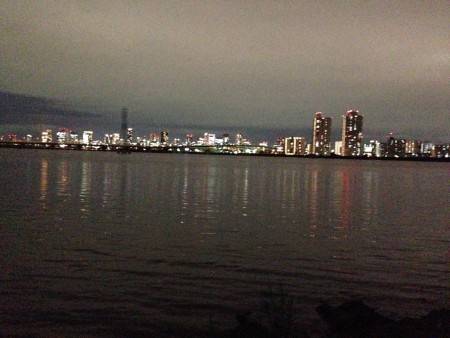 まだまだかな？