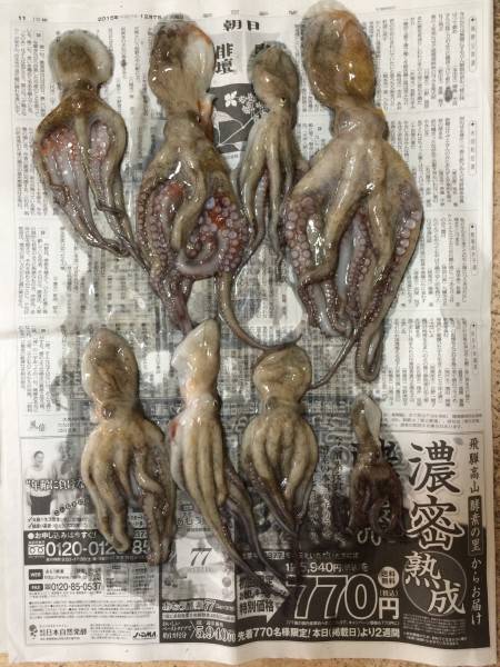 日射病に注意‼︎