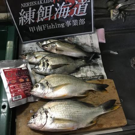 フカセクイーン爆発(^○^)