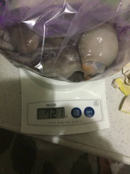 オクトパス＝根がかり