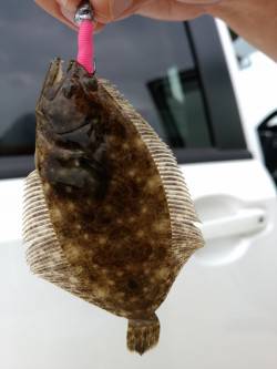 マイクロ4目釣り