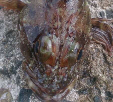 ローテーション③