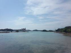 鰯の放り込みで