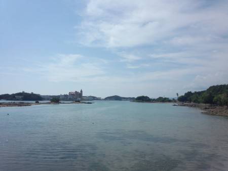 鰯の放り込みで