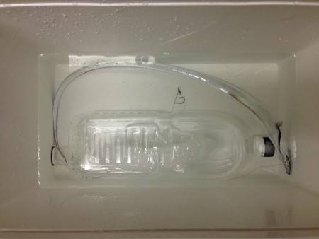 あれ？一匹？？