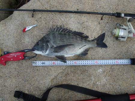 ｼｰﾊﾞｽ修行