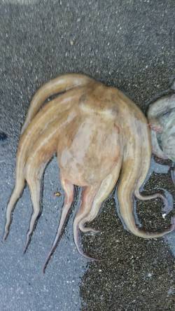 突然の雨に退散