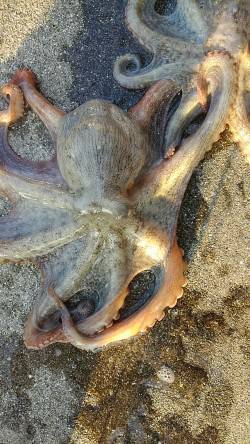 夏休み最後の釣行