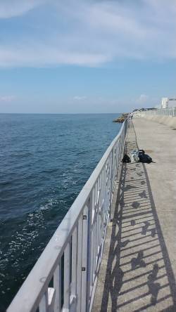 粘り勝ちでした。