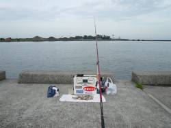 津名バス停波止でキス狙い