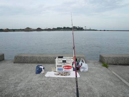 津名バス停波止でキス狙い