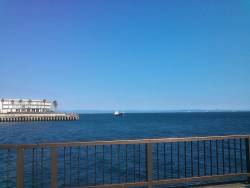 サビキで豆アジ＆小サバ釣り！