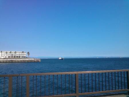 サビキで豆アジ＆小サバ釣り！