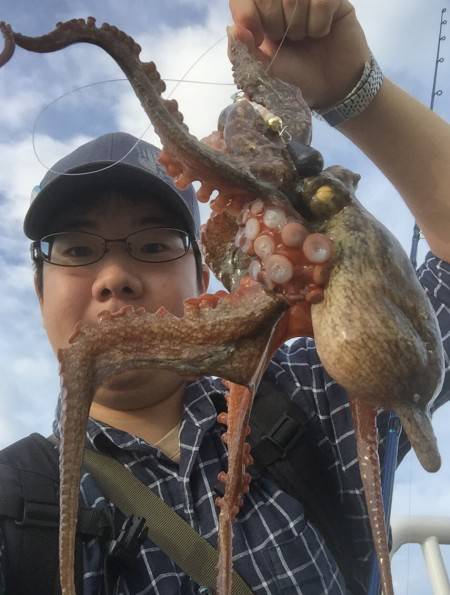 タコダウンショット！