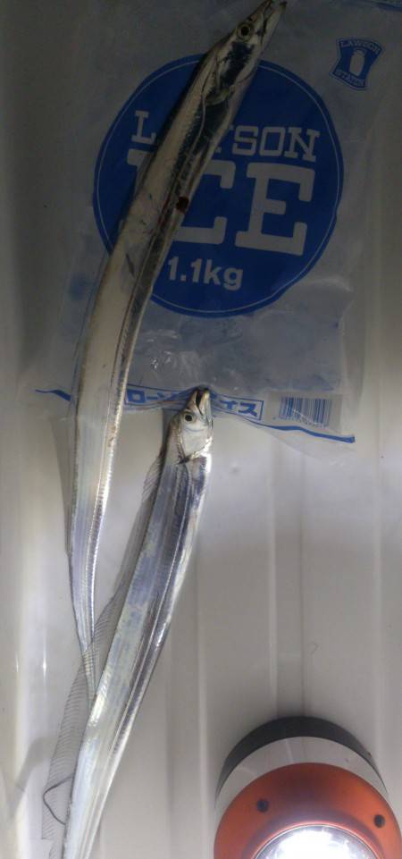 梅雨なので、雨が心配だったが晴れて良かった…