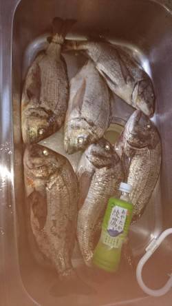 久々の投稿です！